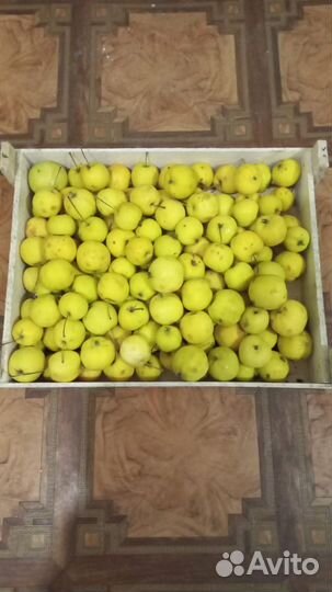 Яблоки свежие уральская наливная