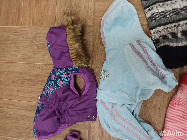 Лот одежды для маленькой собачки