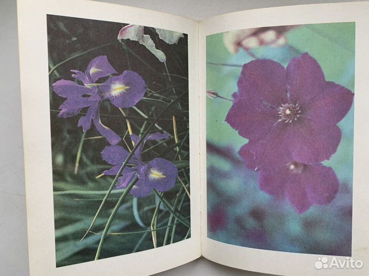 Как вырастить сад 1997 г. Книги дачникам