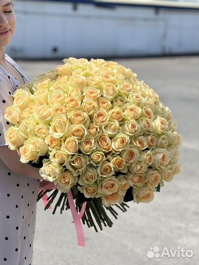 Роза/101 роза/букеты из роз