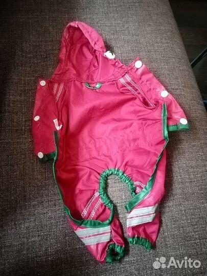 Одежда для собак