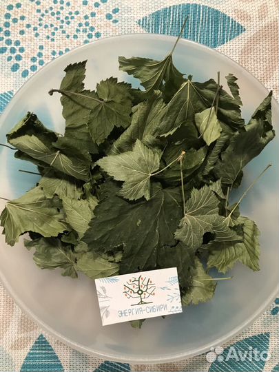 Лист Смородины, Малина лист с Алтая