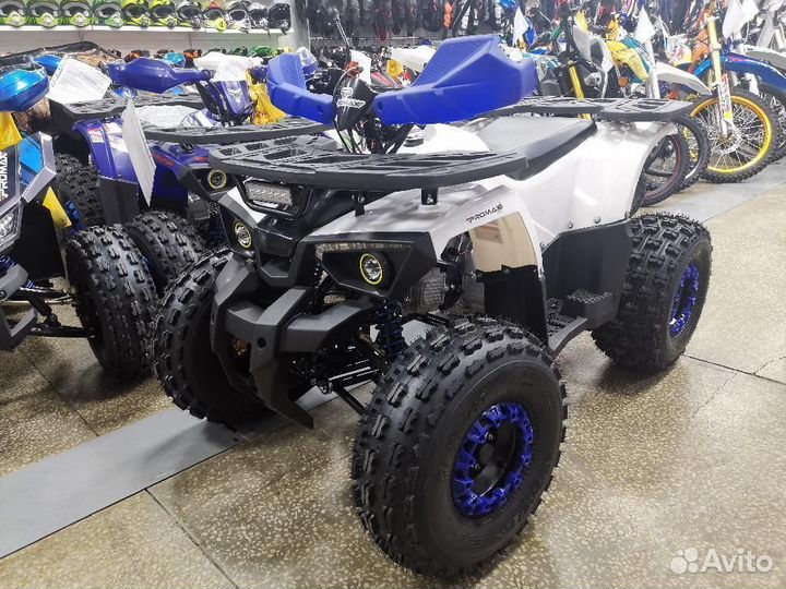 Квадроцикл promax wild 175 LUX