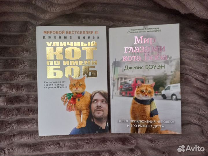 Уличный кот по имени боб