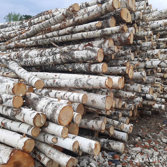 Дрова осина