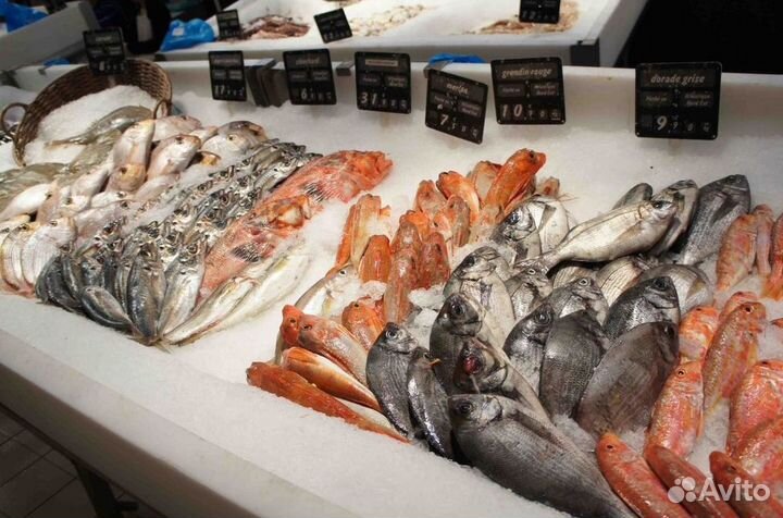 Продается готовый бизнес – рыбный магазин