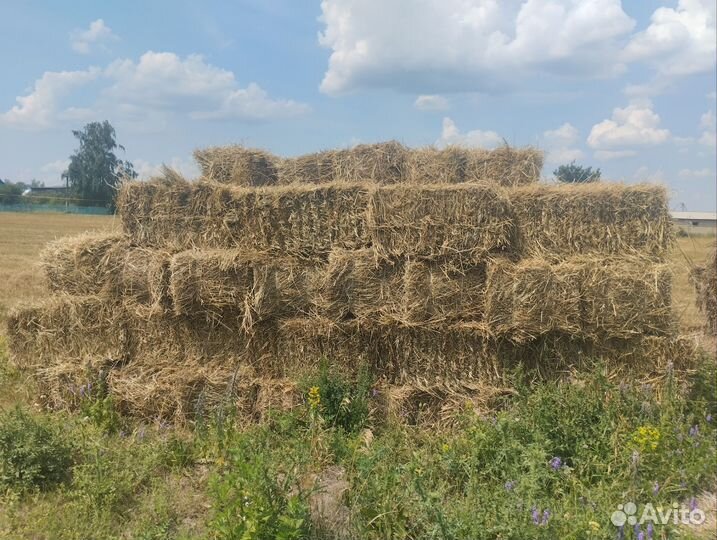 Сено в тюках