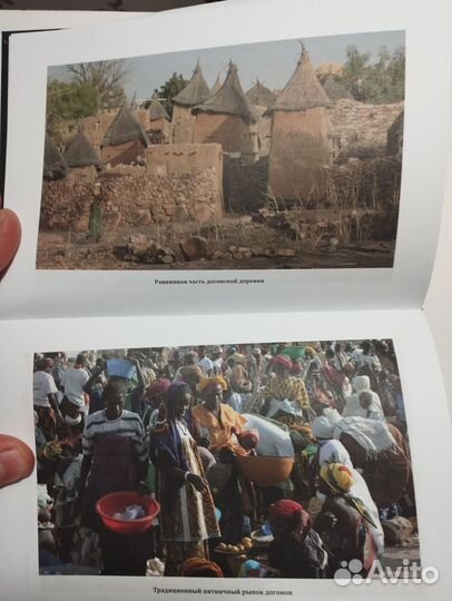 «Космология догонов» Александр Редько