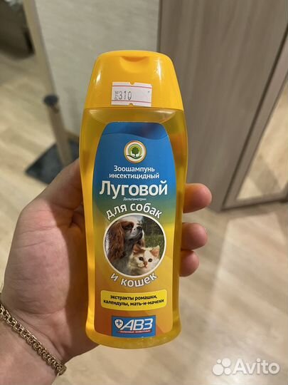 Зоошампунь инсектицидный шампунь от блох