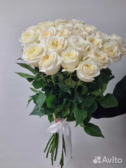 Розы 101 51 25 Доставка цветов Букет