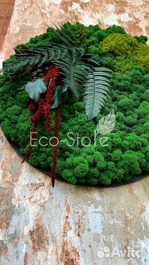 Круглая картина из мха 50 см