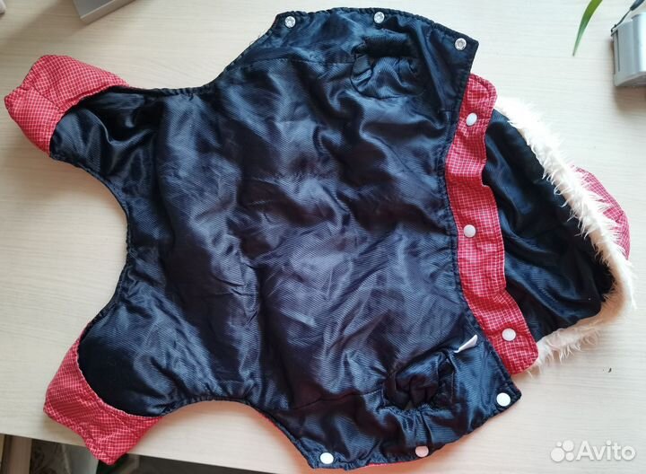 Костюм для маленькой собачки