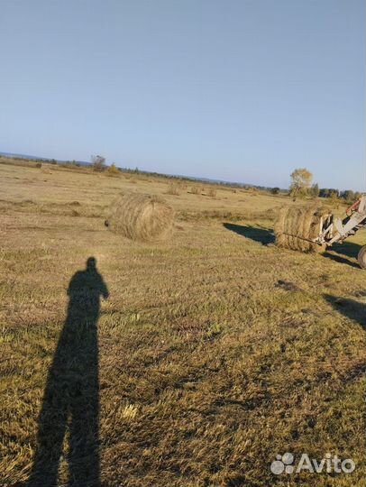 Продам сено в рулонах свежий укос
