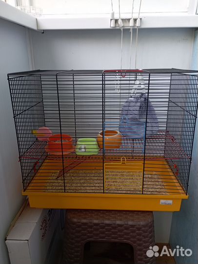 Клетка для грызунов плюс переноска