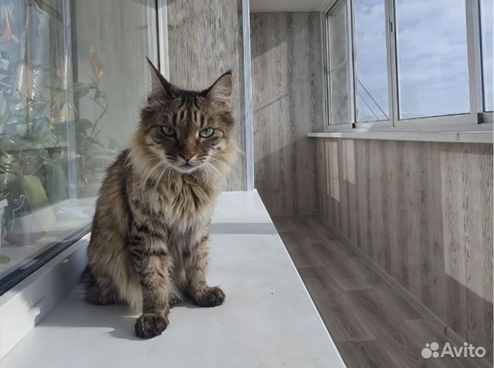 Установка пластиковых окон