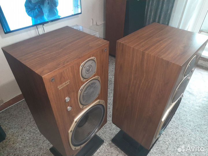 Акустические колонки onkyo monitor 2000