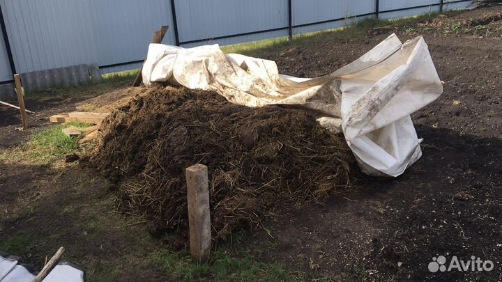 Навоз коровий