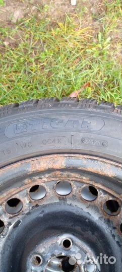 Tigar Ice 205/55 R16 94