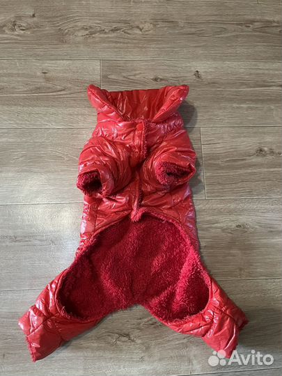 Зимний комбинезон для маленькой собачки