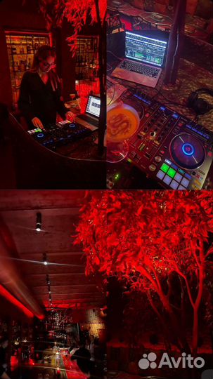 DJ (Ди-джей)