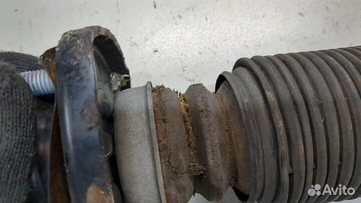 Амортизатор подвески BMW X5 E53, 2006