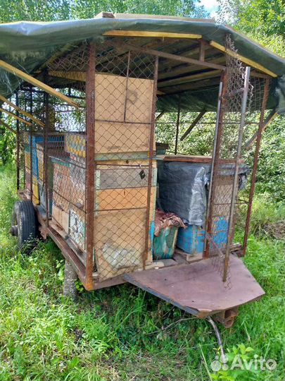 Продается пасека