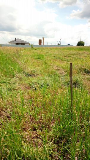 Участок 12 сот. (ИЖС)