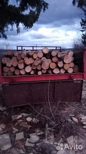 Дрова Сосна Чурками