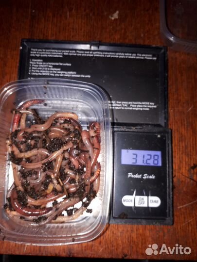 Черви Дендробена