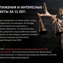 Банкротство юридических лиц, Софрино