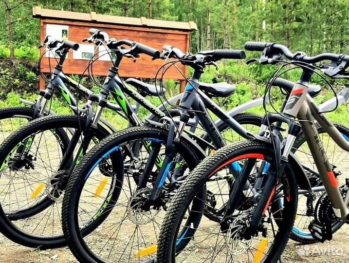 Прокат велосипедов