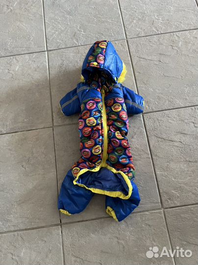 Костюм для собачки (йорка )