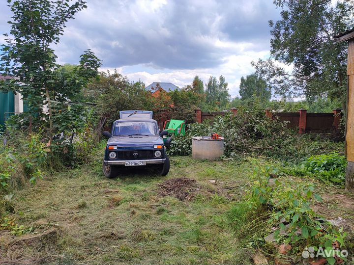 Аренда измельчителя древесины