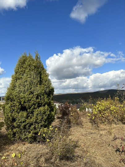 Участок 6 сот. (ИЖС)