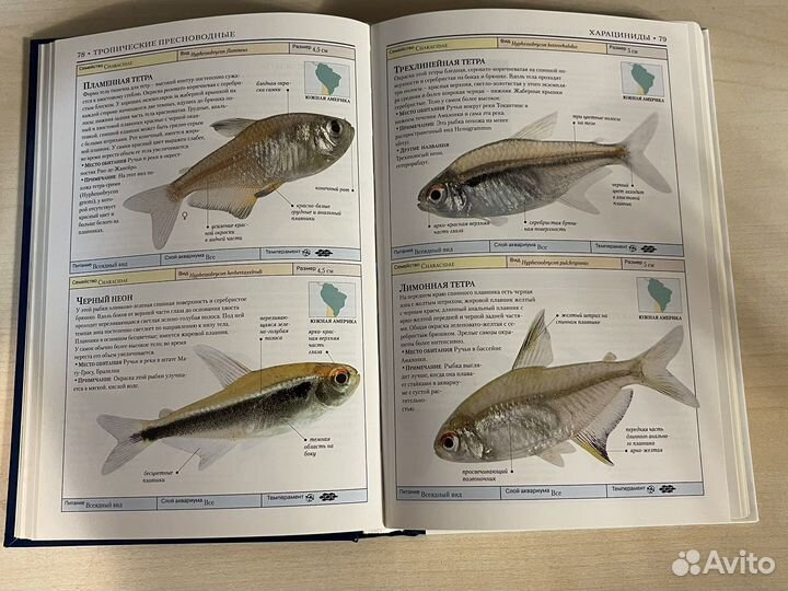 Аквариумные рыбки. Дик Милс. Определитель