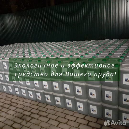 Хлорелла для пруда