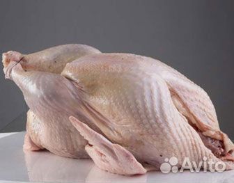 Мясо домашней индейки