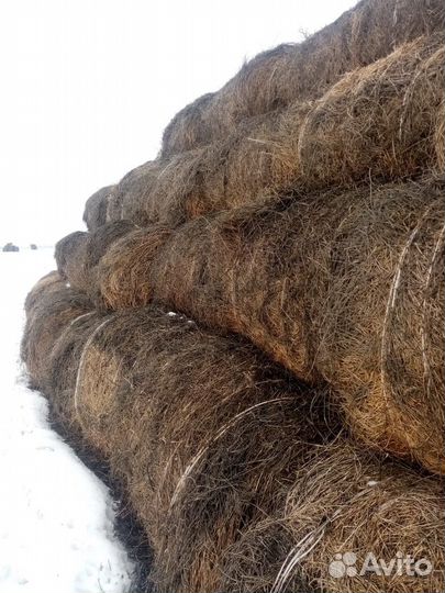 Сено в рулонах