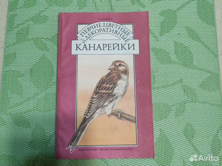 Певчие и декоративные канарейки