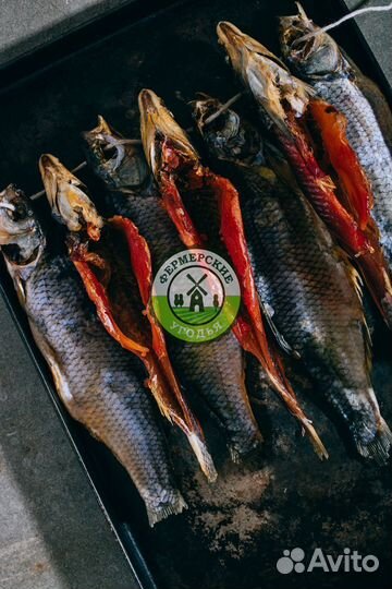 Рыба северная Язь Щука Щекур Мохтик Лещ Сырок