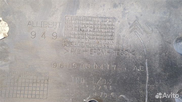 Молдинг двери Citroen Berlingo, 2004