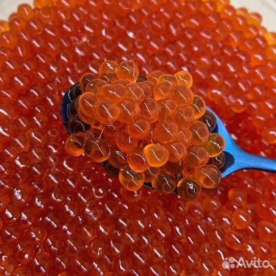 Красная икра