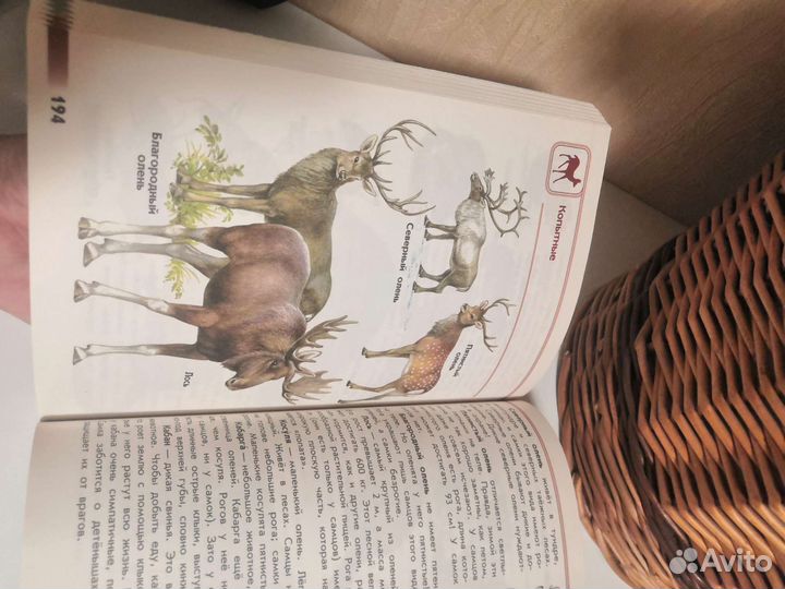 Атлас от земли до неба Плешаков