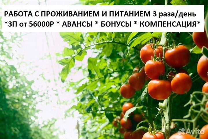 Разнорабочий (бригада Вахта) в г.Тула