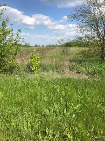 Участок 18 сот. (ИЖС)