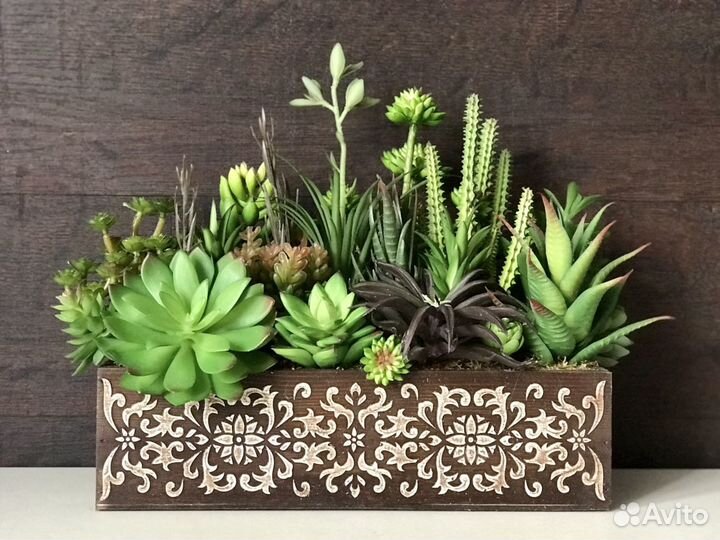 Суккуленты искусственные
