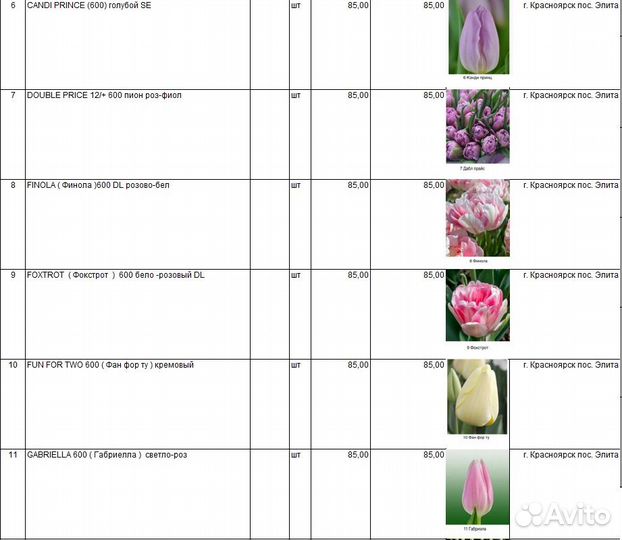 Тюльпаны к 8 марта оптом
