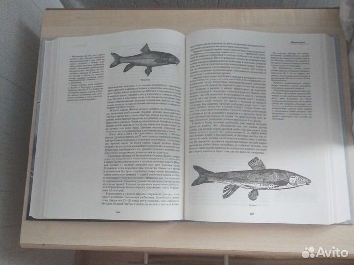 Л. П. Сабанеев современная версия