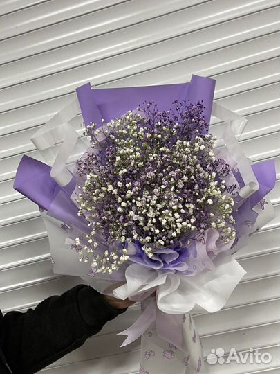 Гипсофила букет