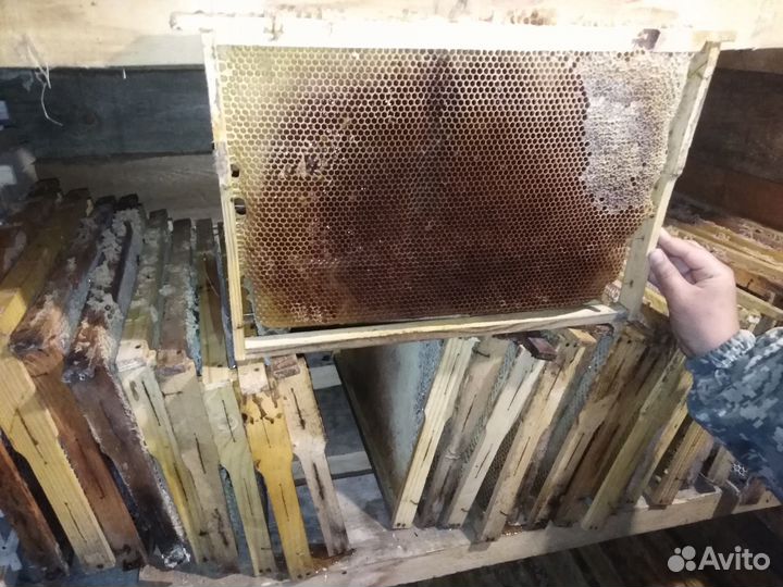 Рамки соты гнездовые дадан